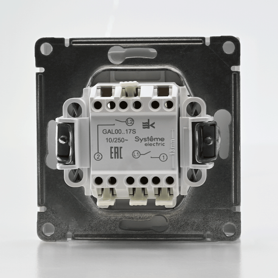 Выключатель кнопочный 2-кл. ArtGallery 10AX быстрозажим. клем. механизм лотос SE GAL001317S