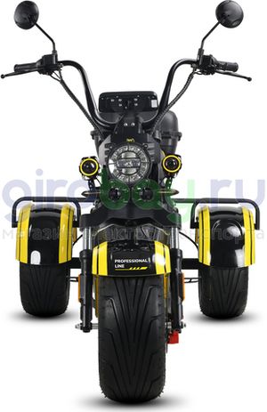 Электротрицикл SIBERTON PRO TRIKE 3900W (60V/35Ah) фото №8