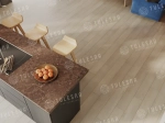 ABA ламинат TULESNA PREMIUM Diretto 1004-101 AlpineFloor