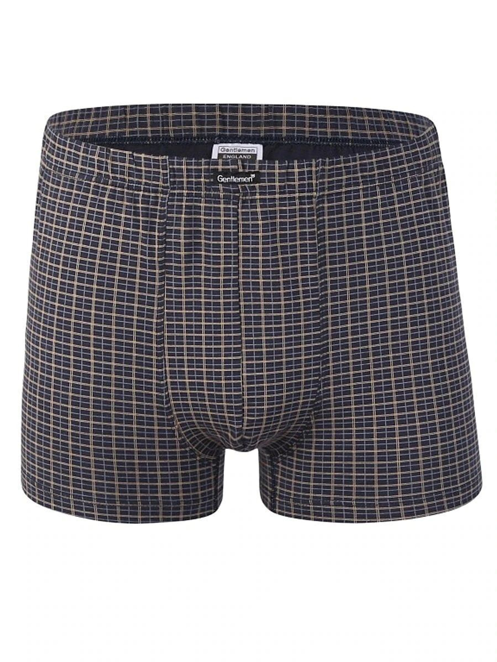 Клетчатые боксеры из высококачественного хлопка (Размер: L) (Цвет: синий)