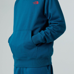 Худи The North Face NSE Box