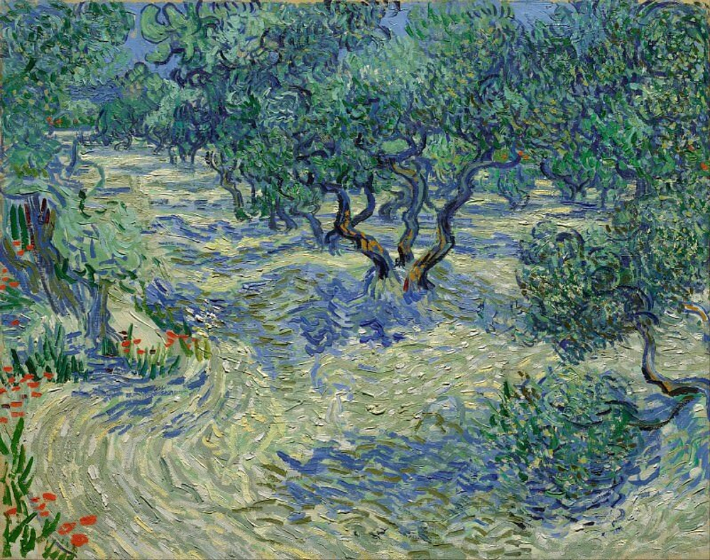 "Оливковая роща", Ван Гог, Винсент, картина (репродукция), Настене.рф