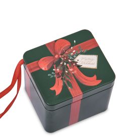 TCN-20/5 Коробка металлическая