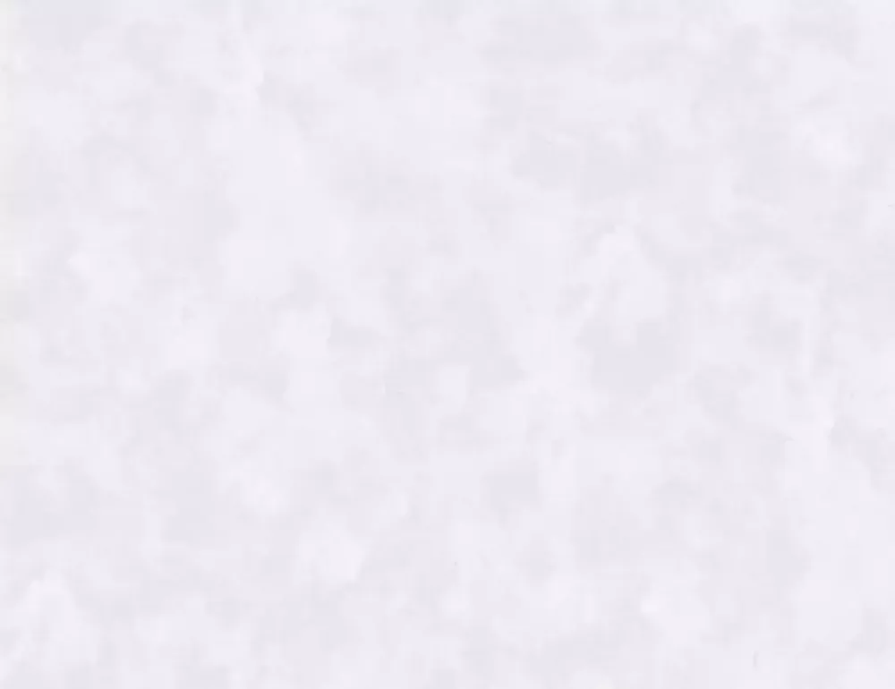 Обои винил на флиз.осн Victoria Stenova Kamilla 281764