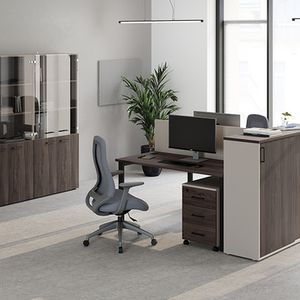 Офисная мебель бизнес-класс