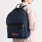Картхолдеры и кошельки DIOR x KAWS Rider 2.0, 1ESBA199OUP-H563