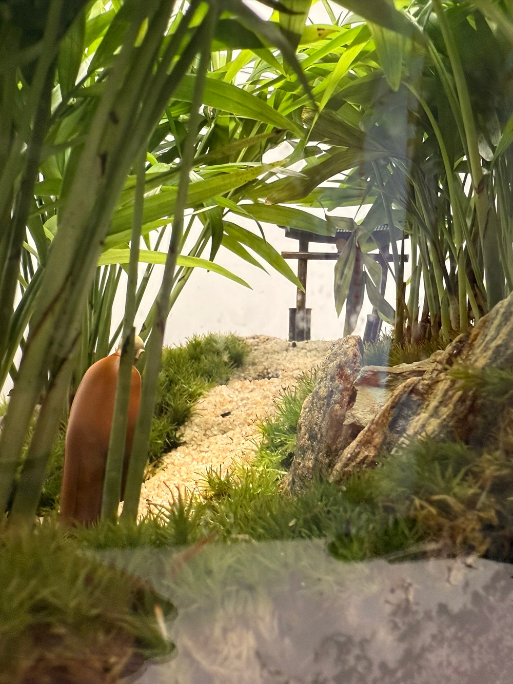 Флорариум S (от 10 до 20 см)