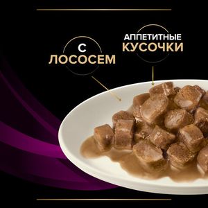 Влажный корм для кошек Pro Plan VETERINARY DIETS UR ST/OX Urinary при болезни мочевыводящих путей c лососем, 85гр