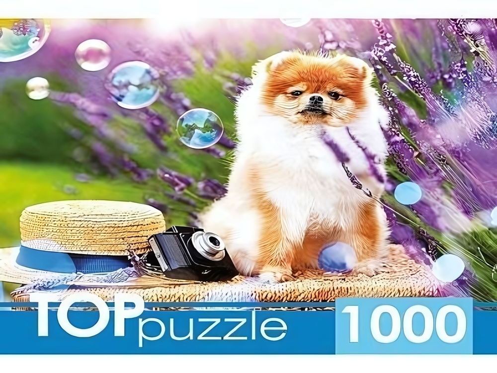 Пазл 1000эл. TOPpuzzle "Шпиц в саду" ШТТП1000-9859