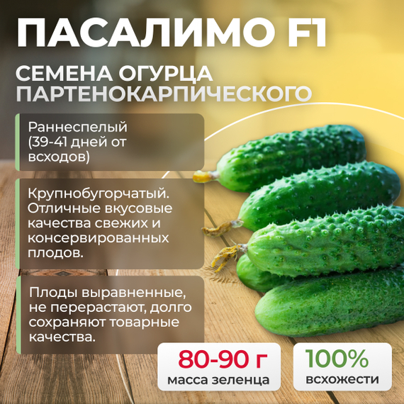 ПАСАЛИМО F1 семена огурца партенокарпического (Syngenta) – фото 1