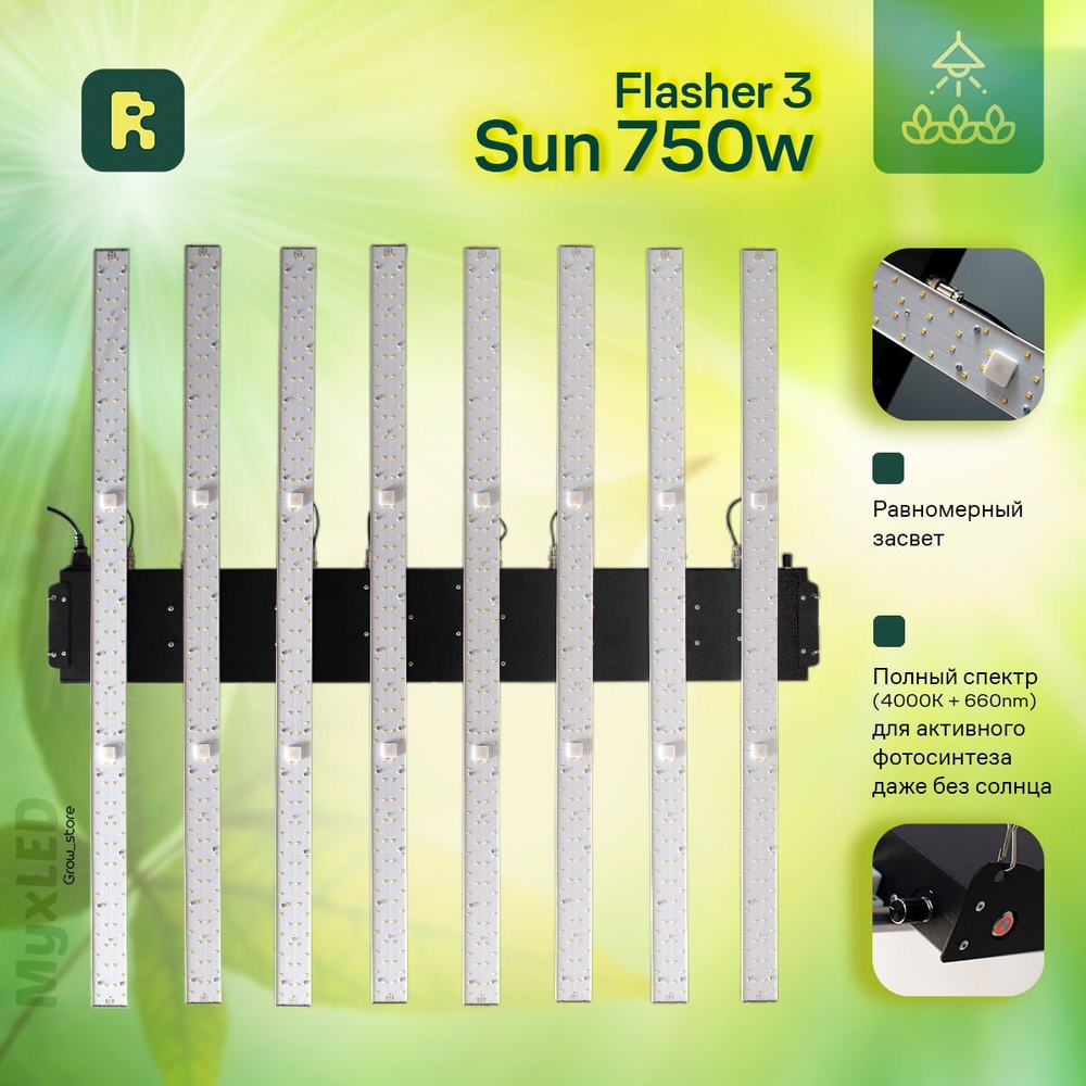 Flasher 3.0 750W