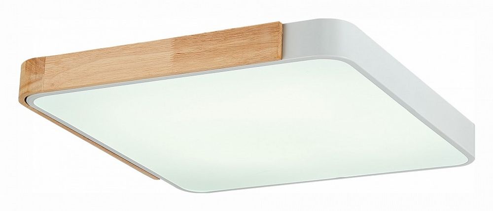 Накладной светильник EVOLUCE Festa SLE201252-01