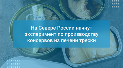 На Севере России начнут эксперимент по производству консервов из печени трески