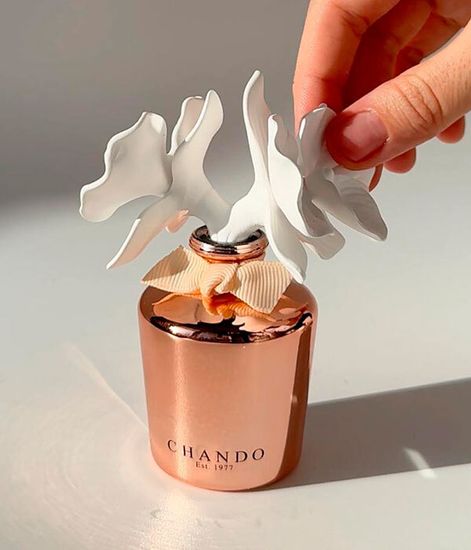 Sensual Camellia mini, ароматический диффузор с необычными палочками, Chando