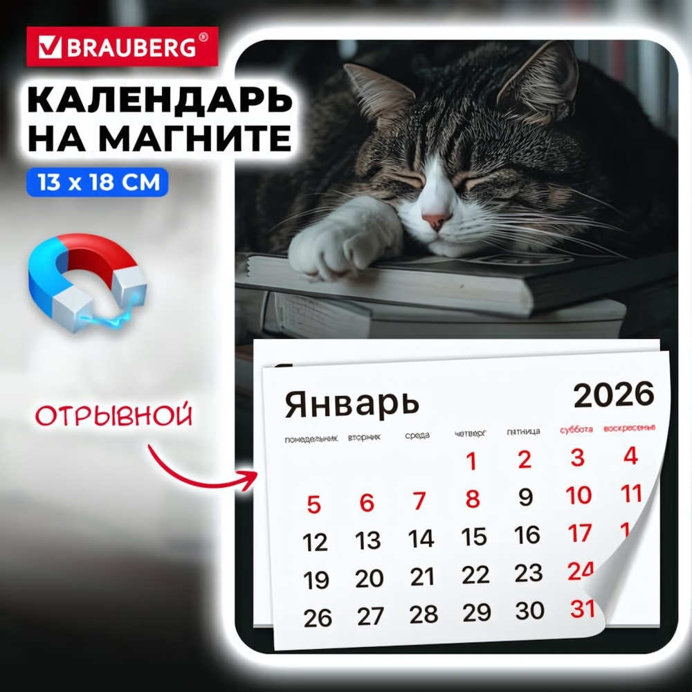 Календарь отрывной на магните на 2026 г. 13*18см. "Спящий кот" склейка (BRAUBERG)