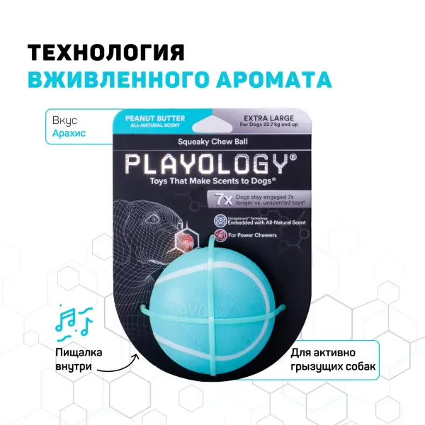 Жевательный мяч Playology SQUEAKY CHEW BALL 6 см для собак мелких и средних пород с пищалкой и с ароматом курицы, цвет голубой