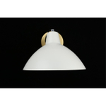 Настенный светильник Aployt Klarka APL.632.11.01