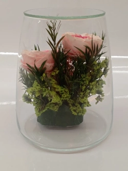 натуральные кустовые пионы в стекле, вакуум*