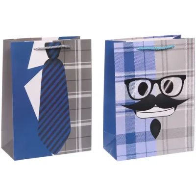 Пакет подарочный «Мужество» 18*24*8.5 см, микс