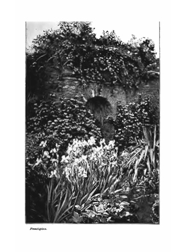 Wood and garden | Jekyll Gertrude