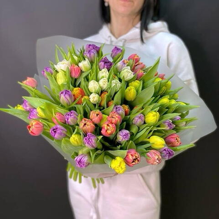 Тюльпан пионовидный