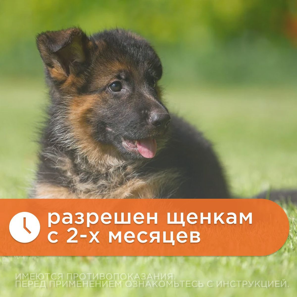 Ошейник от блох и клещей для собак средник пород АВЗ "БАРС" 50см