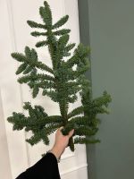 Ветка хвои - НОБИЛИС от 5 шт