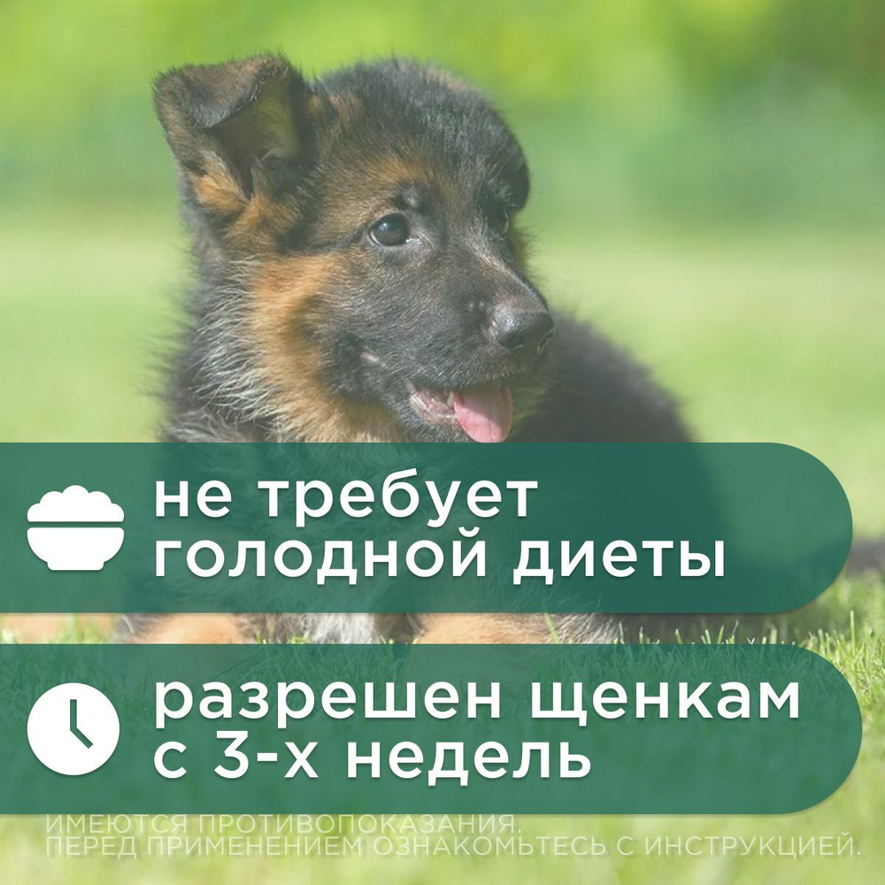 Таблетки от гельминтов для собак средних пород со вкусом мяса Дехинел Плюс (KRKA), 10таб. Фебантел/Пирантел/Празиквантел