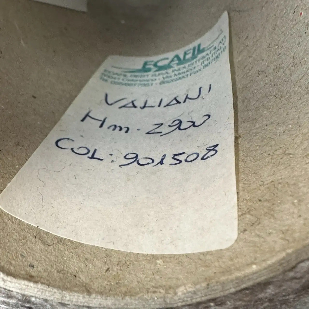 VALIANI - ECAFIL; 18% меринос, 42% акрил; 40% п/а; 290м/100гр; col. 901508, цвет: металлический бежевый шнурок