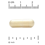 California Gold Nutrition, маточное молочко, сублимированный концентрат, 500 мг, 120 растительных капсул