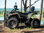Квадроцикл YAMAHA Shark 300cc