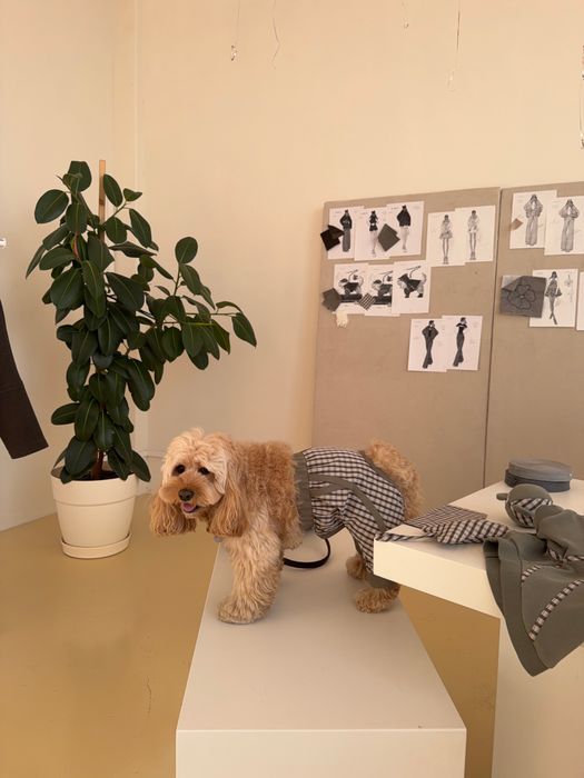 БРЮКИ САВЬЕ ДЛЯ СОБАК ХАКИ