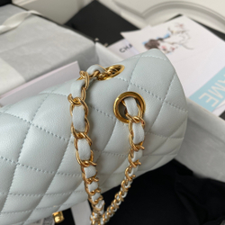 Chane1 Classic Flap Bag 25 cm