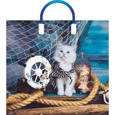 Пакет ПЭ с пластмассовыми ручками 38+3см(Матроскин) Глянцевый А (комплект 10 шт)