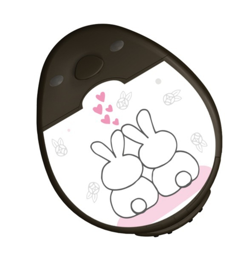 RONDO "Влюбленные зайки"