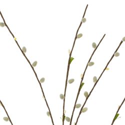 GAEM Ветка искусственная "Верба", L18 W3 H72 см