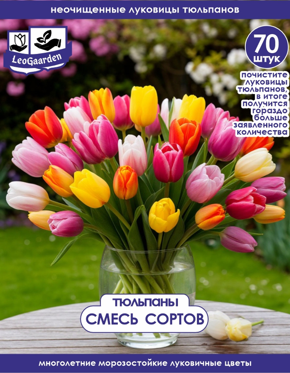 Тюльпан Луковицы неочищенные, Микс сортов, 70+шт