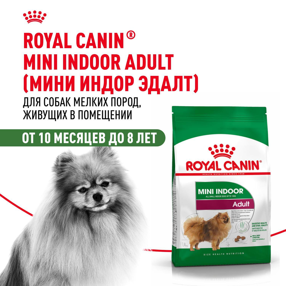 Royal Canin Mini Indoor Adult Корм сухой для взрослых собак мелких размеров живущих в помещении 3 кг