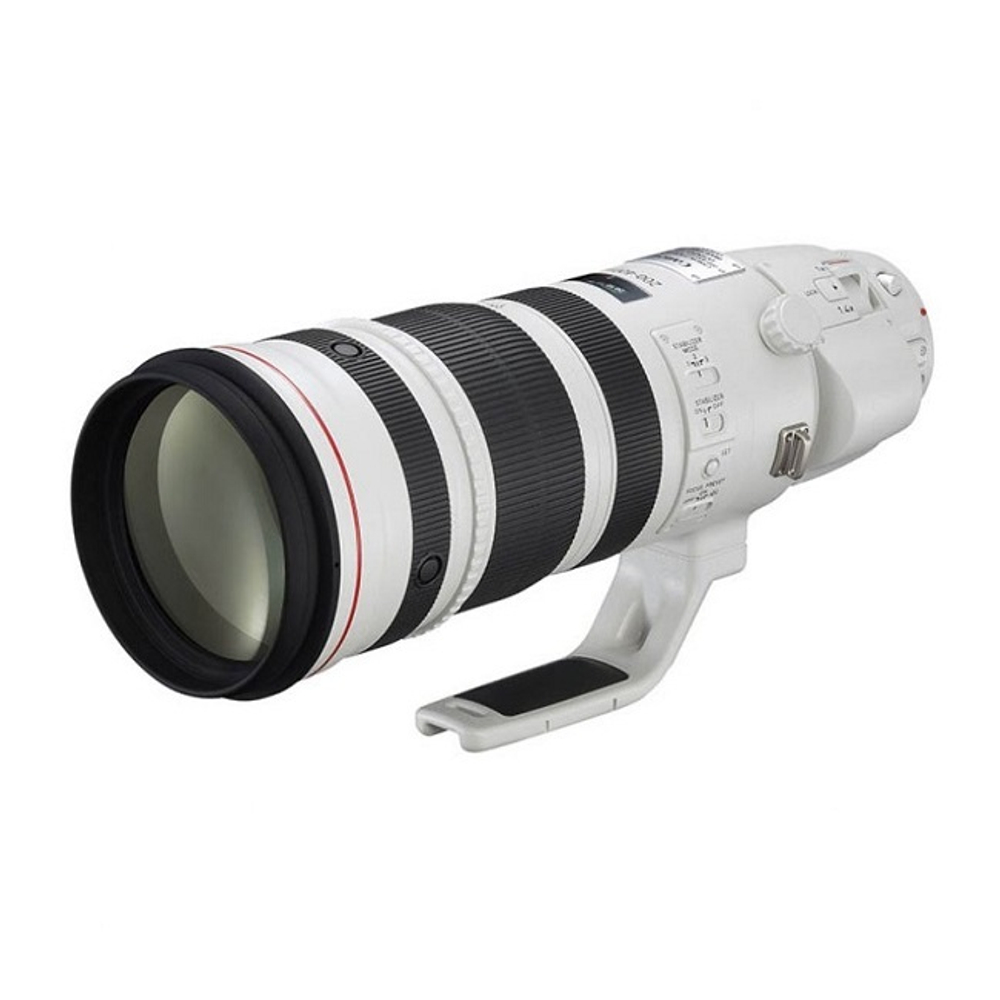 Canon EF 200-400mm f/4L IS USM Extender 1.4X_1