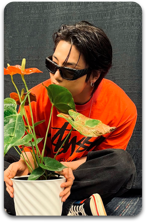 Карта / STRAY KIDS #3857