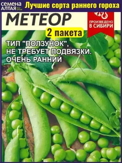 Семена гороха Метеор. Ультраскороспелый, низкорослый