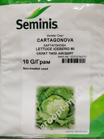 Картаганова семена салата кочанного маслянистого (Seminis / Семинис) – фото 2