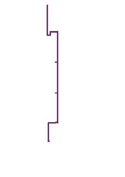 RD 100 Рейка алюминиевая (6,0) RAL