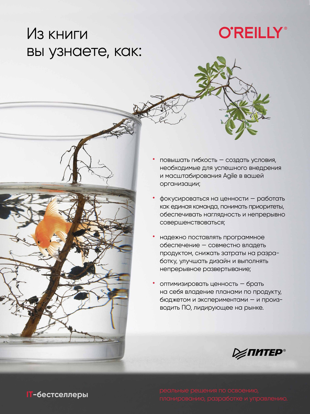 Искусство Agile-разработки. Теория и практика гибкой разработки ПО