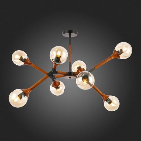 Светильник потолочный Evoluce Raquel SLE109402-08