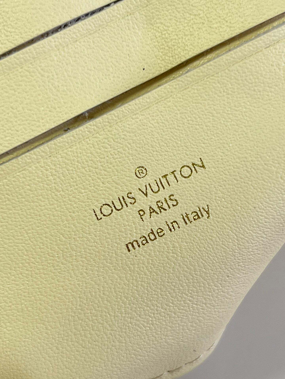 Louis Vuitton Wallet On Strap