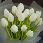 Букет из 15 белых тюльпанов в матовой упаковке