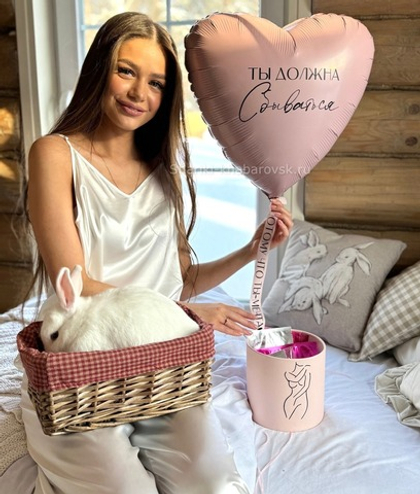 Воздушные шары №6319