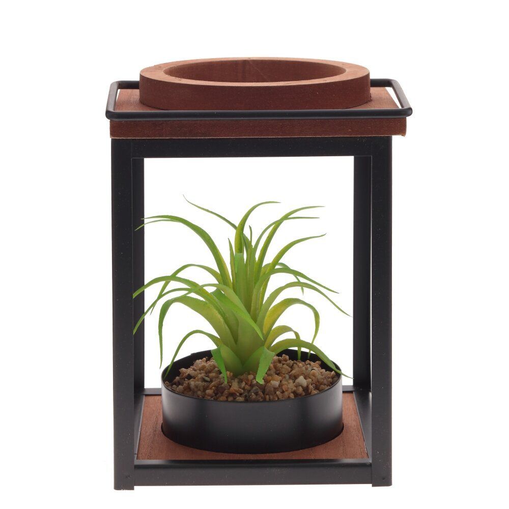 GAEM Цветочная композиция "Суккулент", L15 W15 H21 см