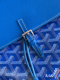 Goyard Alpin Mini Backpack